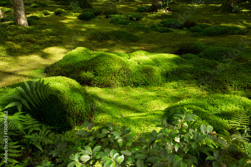 Giou-ji temple in Kyoto, Japan