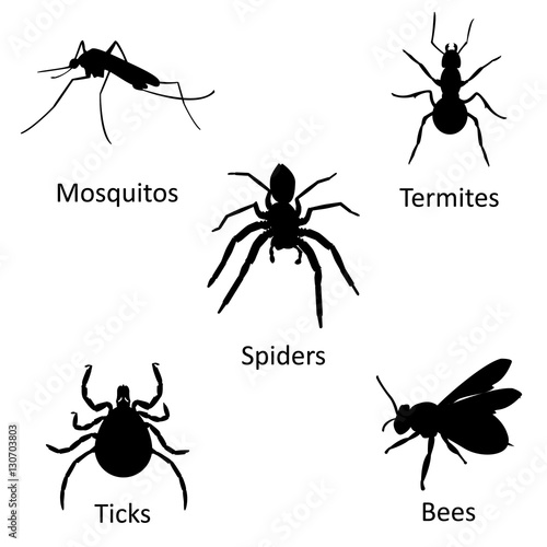 Insect icon set