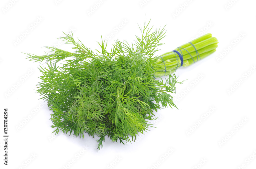 Fototapeta premium dill
