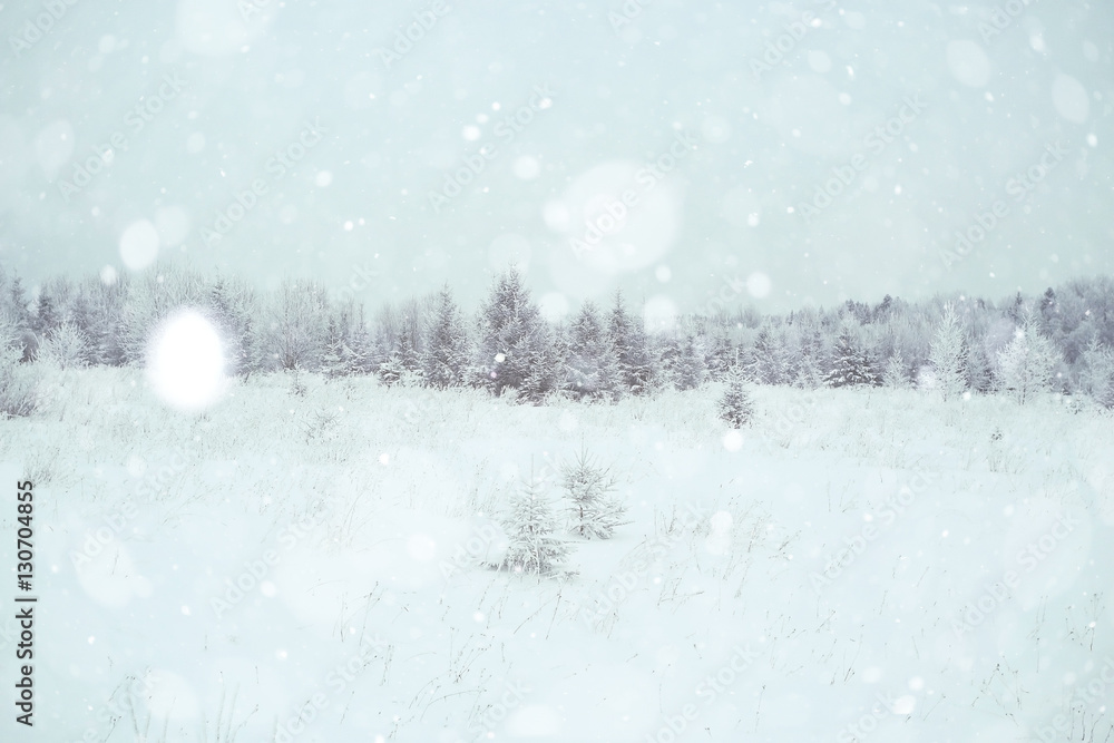 background winter forest covered with snow background winter forest covered with snow