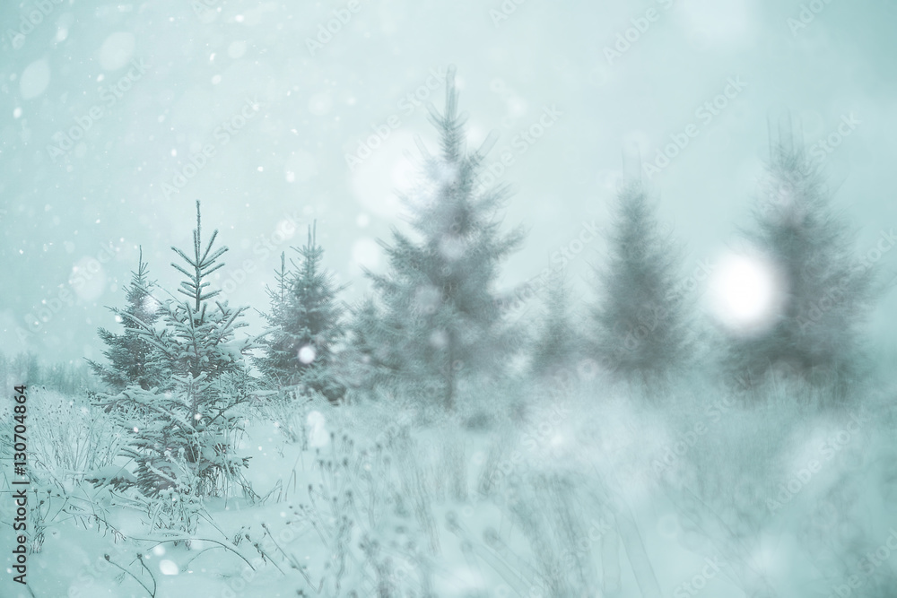 blurred background abstract winter snow landscape