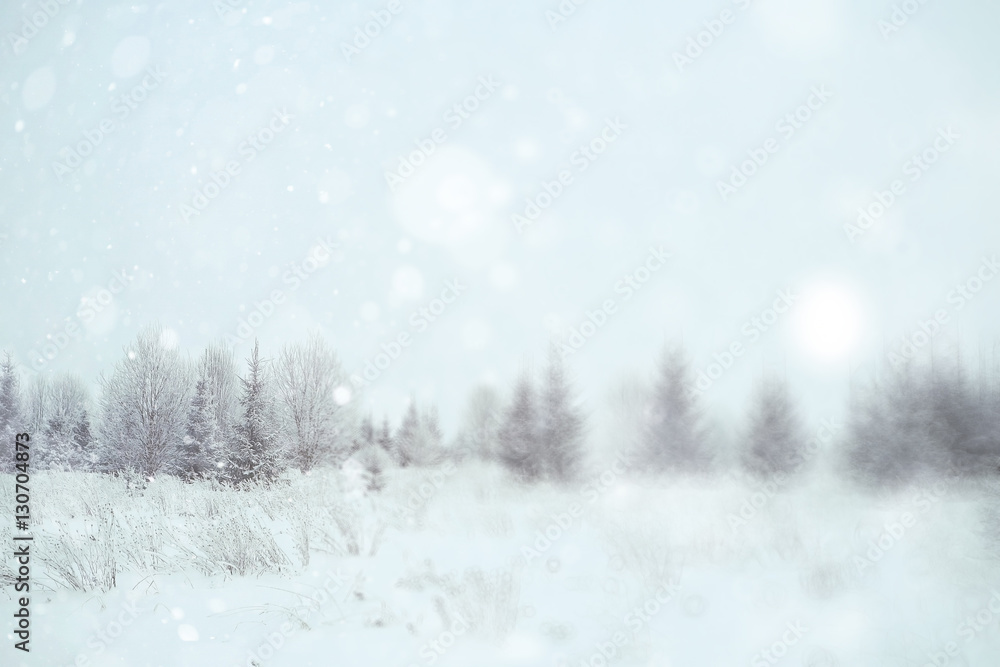 Winter forest blurred background snow landscape