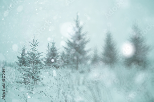 blurred background abstract winter snow landscape