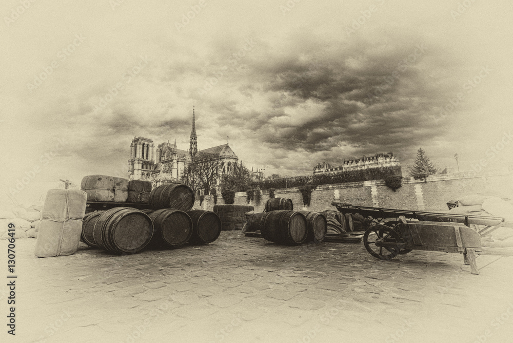 Fototapeta premium The city of Paris france