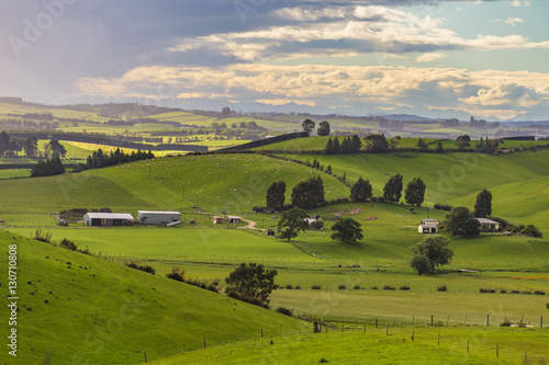 Nature green hills with blue sky in New Zealand
