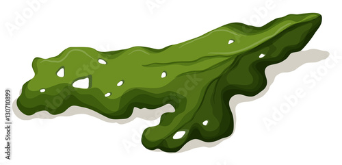 Rotten vegetable on the floor