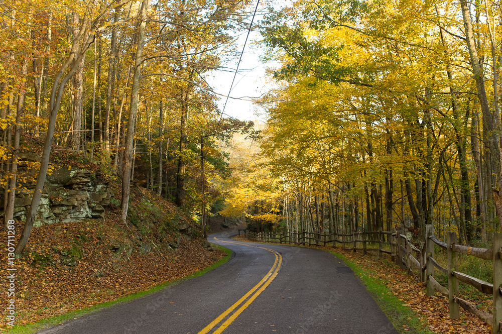 Obraz premium Country Roads