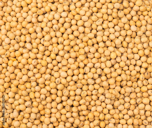 Soybean background