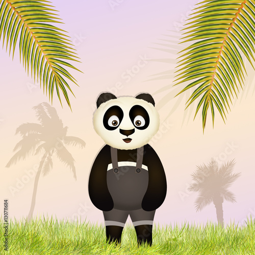 Fototapeta Naklejka Na Ścianę i Meble -  illustration of panda