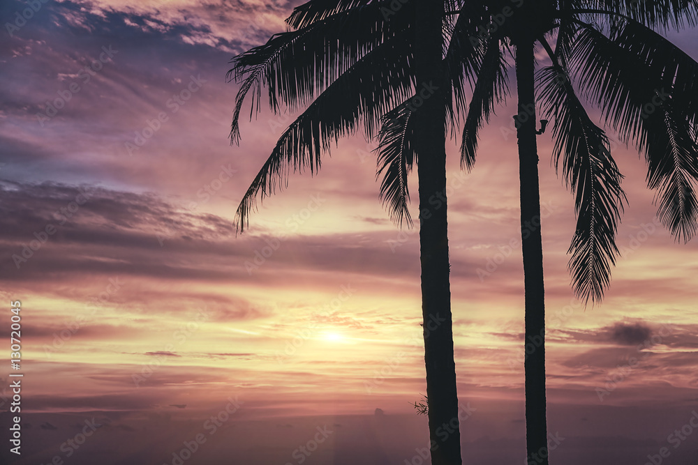 Silhouette of palm trees at sunset. Matte vintage photo processing.