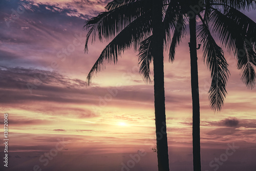 Silhouette of palm trees at sunset. Matte vintage photo processing. © Vitalez