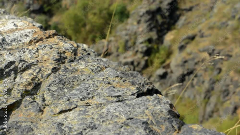 view of the detail of the rocks - the edge of the cliff view of the detail of the rocks - the edge of the cliff