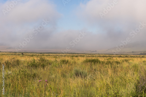 Welgevonden Game Reserve is Located within the Waterberg Mountains in Limpopo South Africa