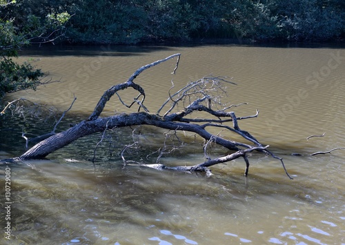 découverte de la Nièvre

 photo