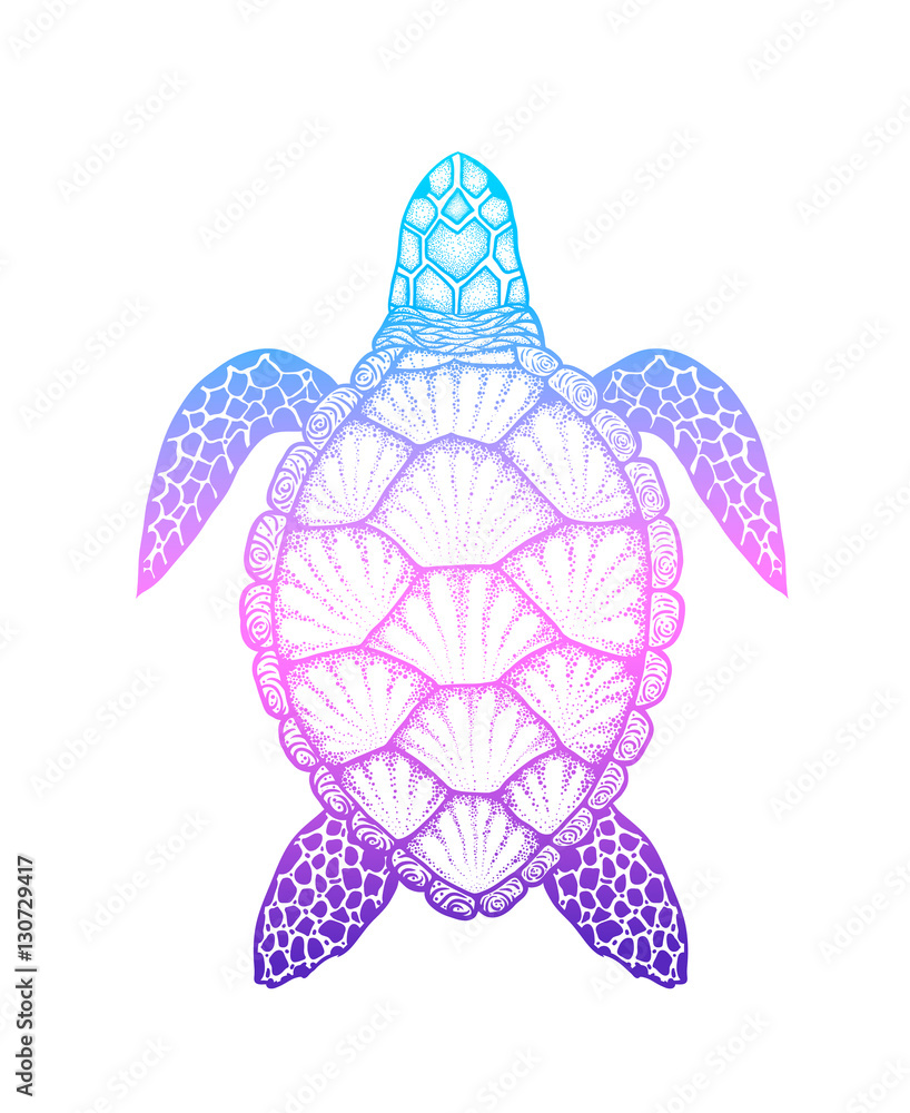 Fototapeta premium Sea turtle in line art style. Hand drawn vector illustration iso