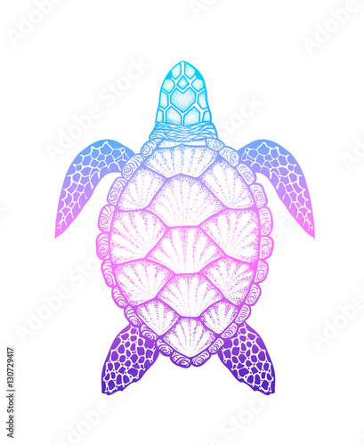 Sea turtle in line art style. Hand drawn vector illustration iso