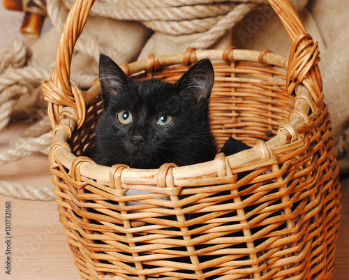 Black kitten in a wicker basket