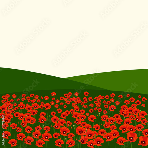 The poppy field
