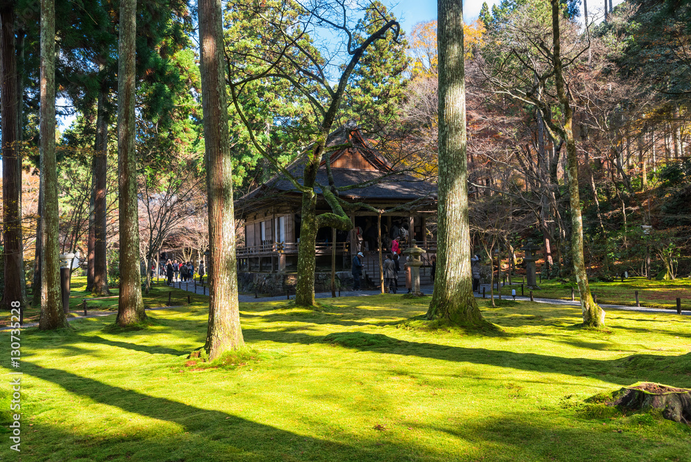 秋の京都　三千院　往生極楽院