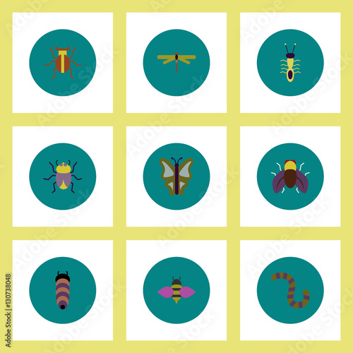 Collection of stylish vector icons in colorful circles insects