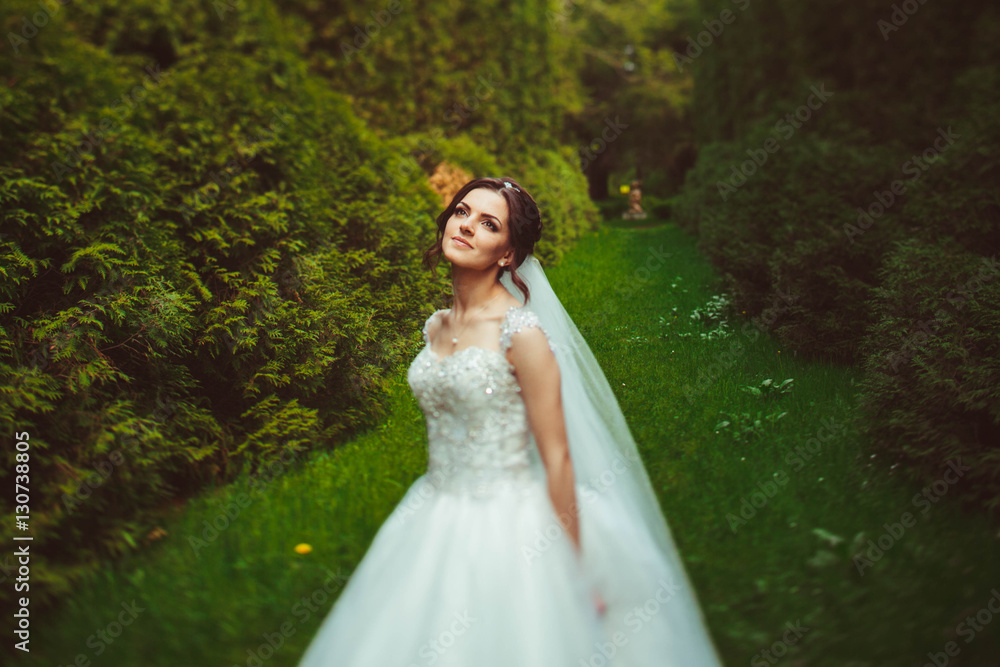 young and beautiful bride in white dress standing in the park young and beautiful bride in white dress standing in the park