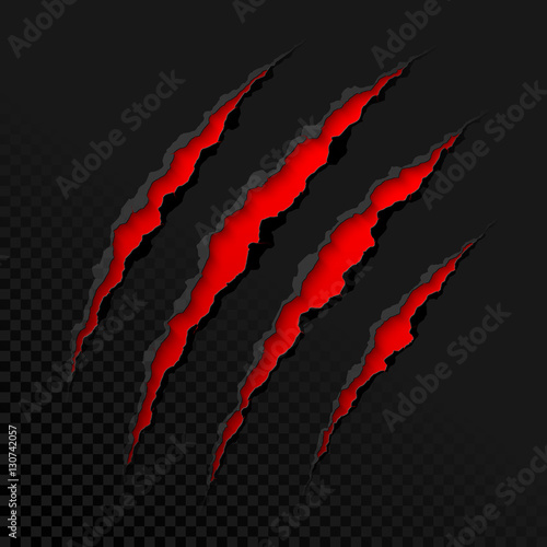Fototapeta Naklejka Na Ścianę i Meble -  Claws scratches on transparent background