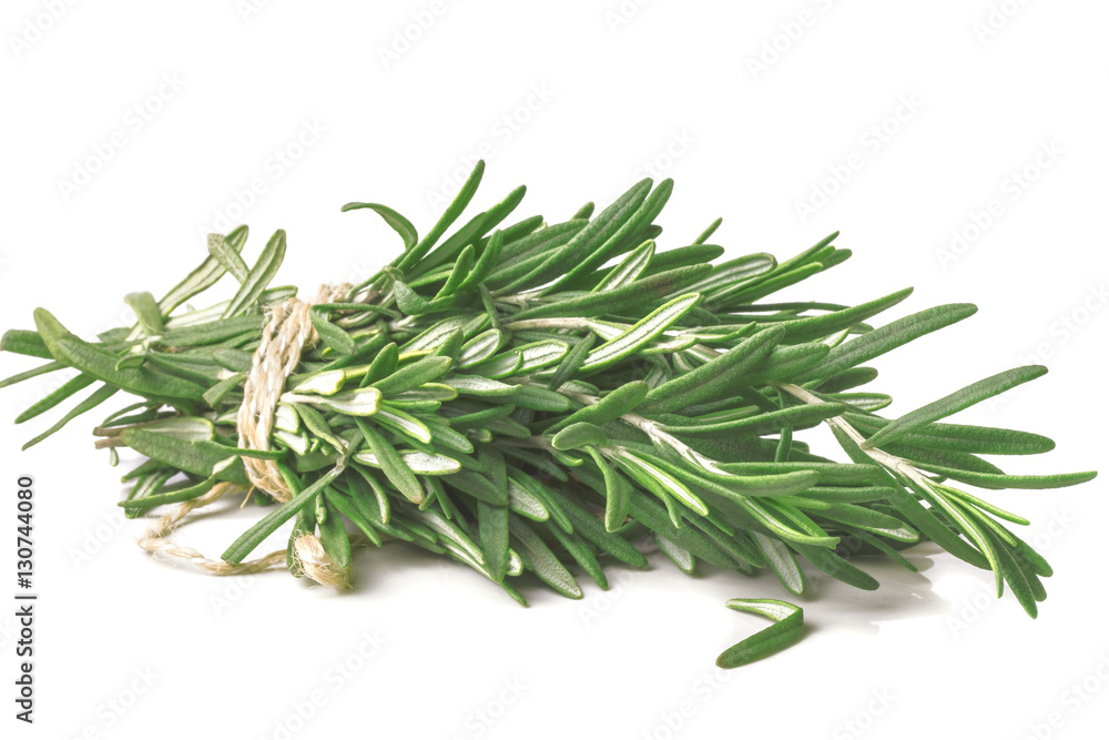 Related stems of fragrant fresh green rosemary