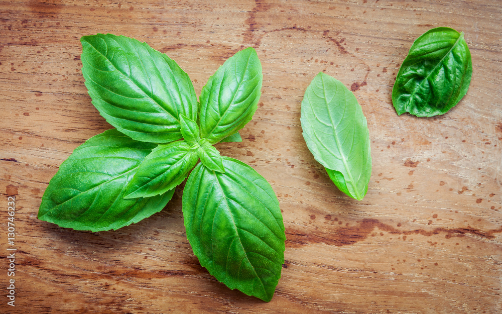 Fresh sweet basil leaves on shabby teak wood background. Sweet b Fresh sweet basil leaves on shabby teak wood background. Sweet b