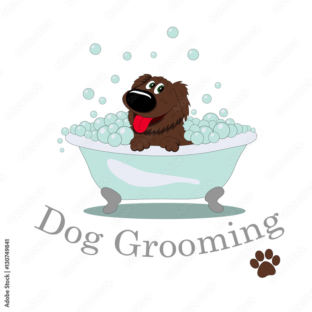 Dog Grooming in bath with bubbles. Dog Grooming in bath with bubbles.