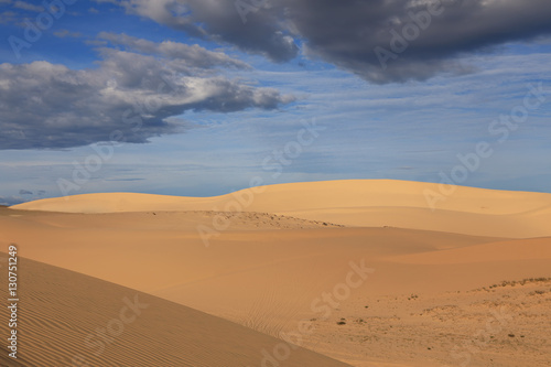 Landscape of sand dunes