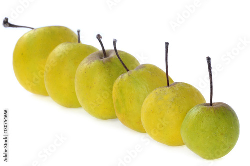 Pommes de différentes tailles sur fond blanc