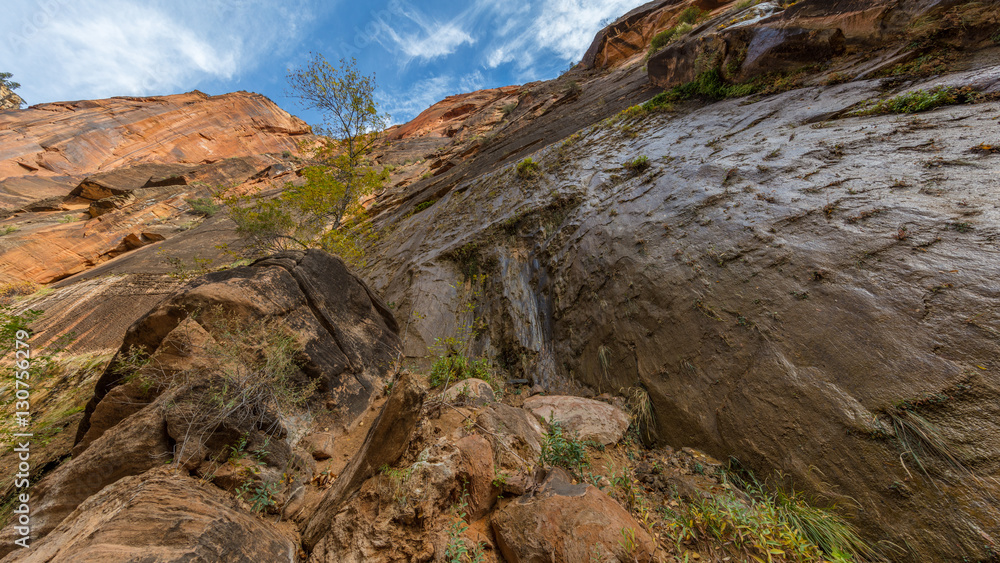 Riverside walk, beautiful hike along the Virgin River. Zion National Park, Utah, USA