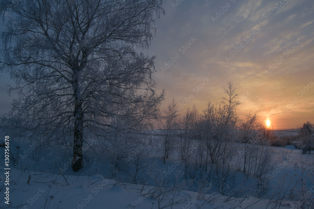 Зимний пейзаж с видом заснеженных деревьев на фоне заката 