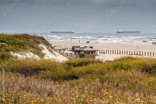 The dunes in Port Aransas, Texas heading toward the beach. photo