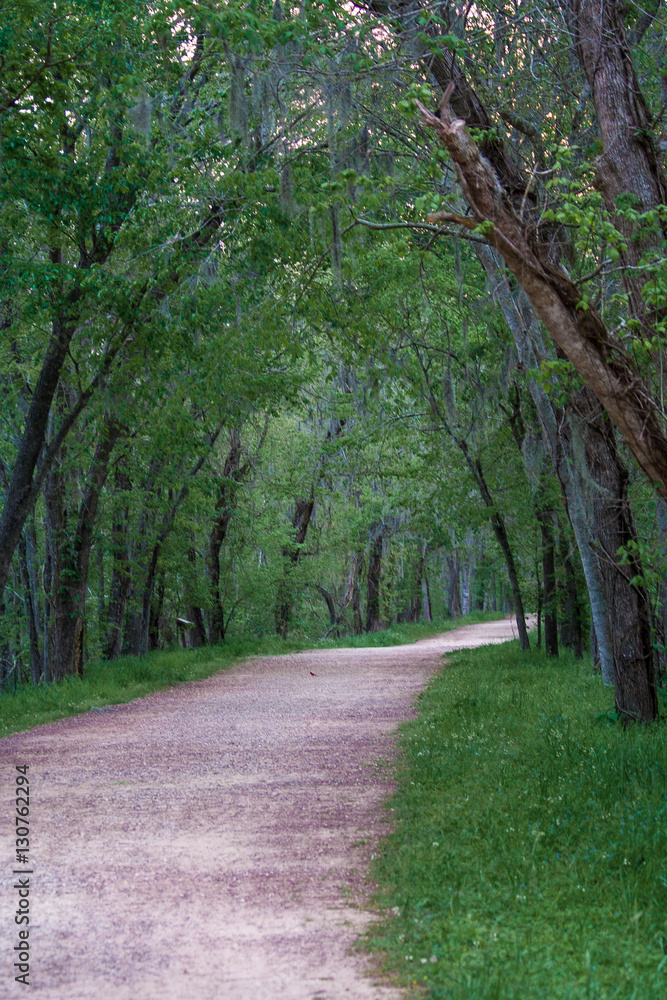 Pathway in Brazos Bend State Park in the Evening