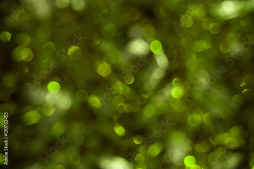 Blurred dark greenery background with bokeh lights photo