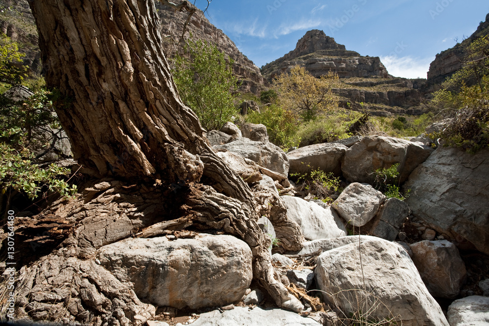 Dog Canyon at Oliver Lee Memorial State Park, New Mexico