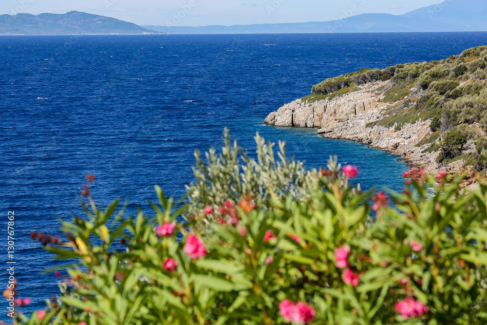 Landscape view with greek sea in the summer