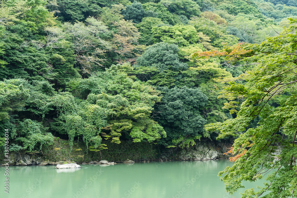 Lake in Arashiyama