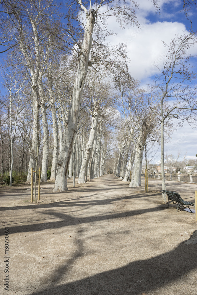 Fountains and gardens of the palace of Aranjuez in Madrid, Spain