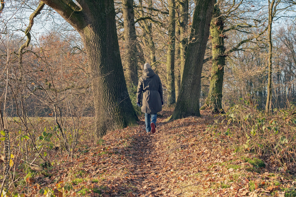 Rear view of woman walking in winter forest. Needse Achterveld.