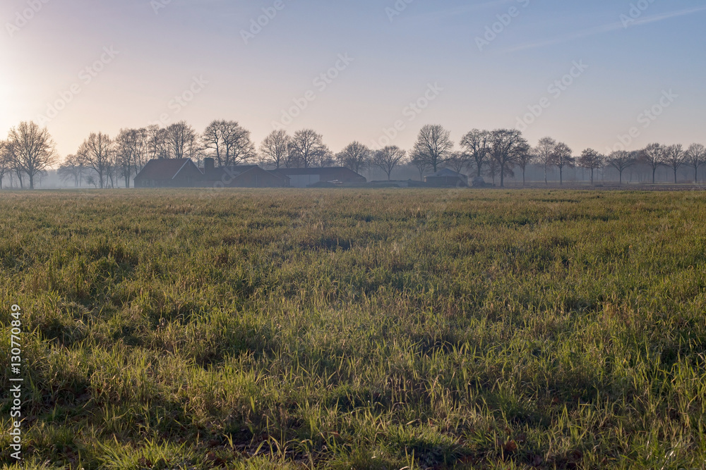 Dutch wide open farmland with farm in winter. Achterhoek. Gelder
