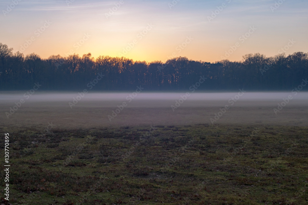 Meadow with layer of low mist and bare trees. Nature reserve Nee