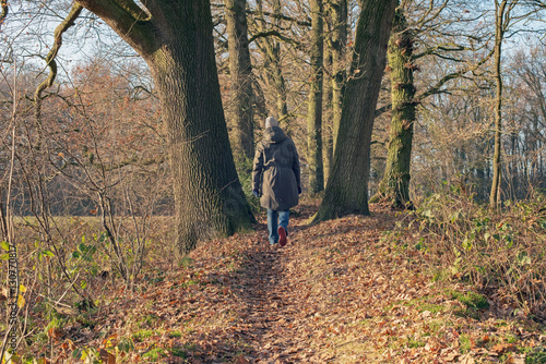 Rear view of woman walking in winter forest. Needse Achterveld.