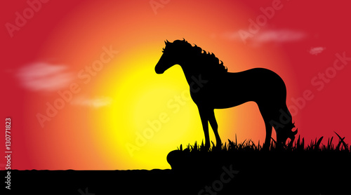 Vector silhouette of horse.