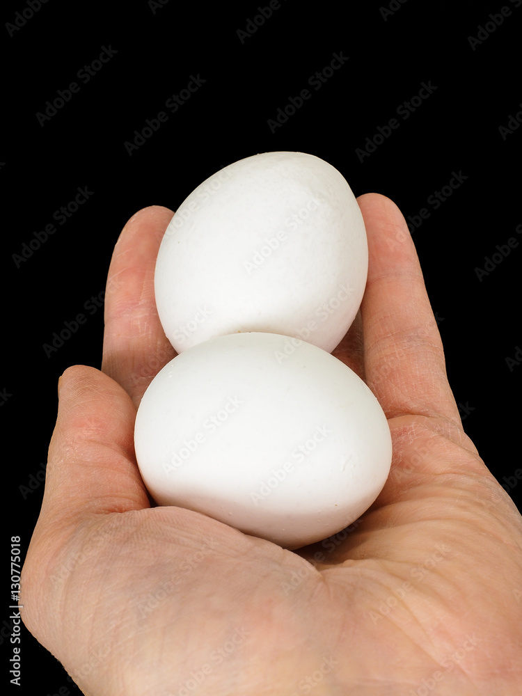 Closeup of a male hand, with a pair of white hen eggs Closeup of a male hand, with a pair of white hen eggs