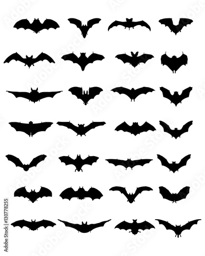 Big set of black silhouettes of bats  vector