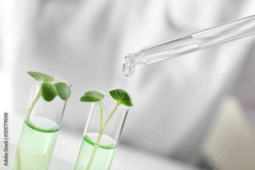 Drop dripping from pipette into test tube with plant on light background