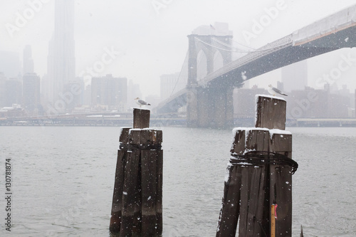 Brooklyn Bridge Winter