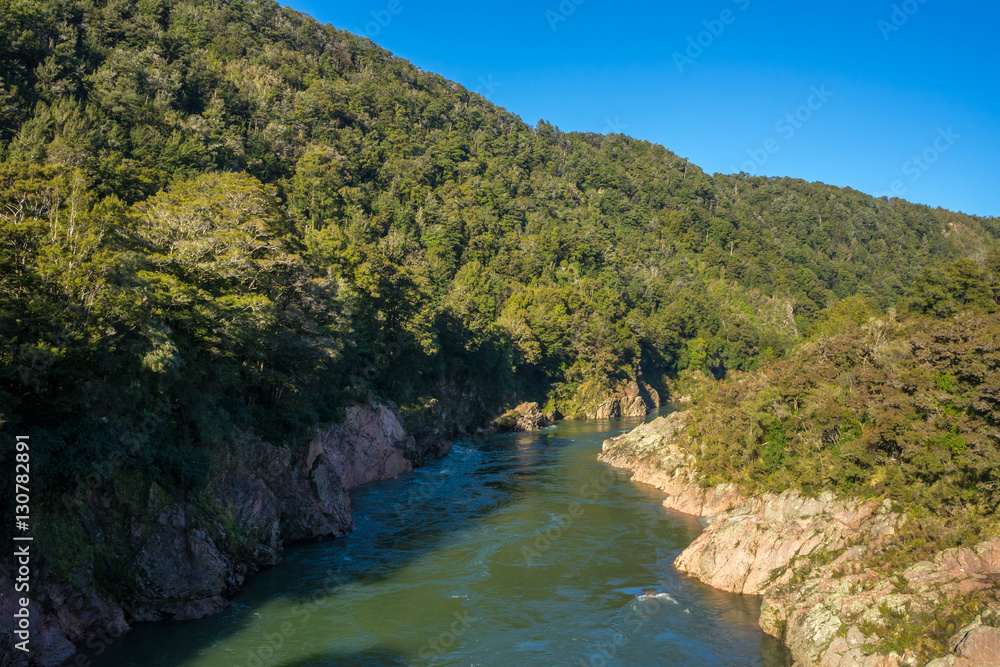 View of Buller Gorge View of Buller Gorge